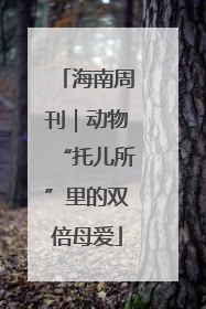 海南周刊｜动物“托儿所”里的双倍母爱