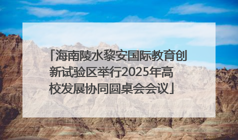 海南陵水黎安国际教育创新试验区举行2025年高校发展协同圆桌会会议