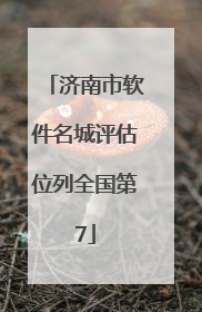 济南市软件名城评估位列全国第7