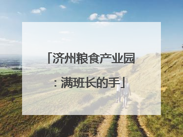 济州粮食产业园：满班长的手