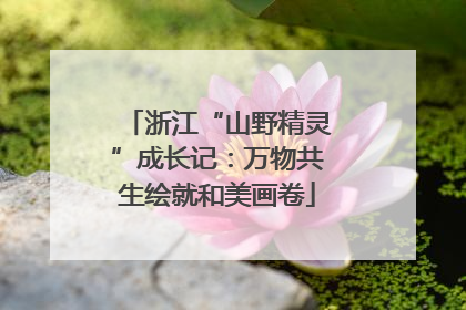 浙江“山野精灵”成长记：万物共生绘就和美画卷
