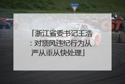 浙江省委书记王浩：对顶风违纪行为从严从重从快处理
