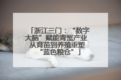 浙江三门：“数字大脑”赋能青蟹产业 从育苗到养殖重塑“蓝色粮仓”