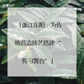 浙江东阳：为传统营造技艺搭建“传习舞台”