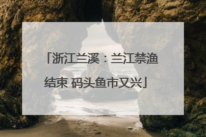 浙江兰溪：兰江禁渔结束 码头鱼市又兴