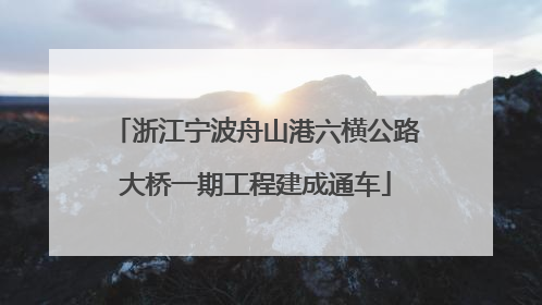 浙江宁波舟山港六横公路大桥一期工程建成通车