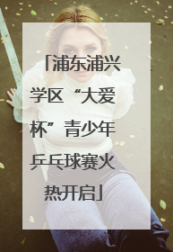 浦东浦兴学区“大爱杯”青少年乒乓球赛火热开启