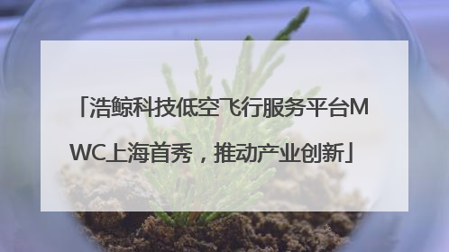 浩鲸科技低空飞行服务平台MWC上海首秀，推动产业创新