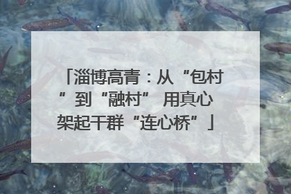 淄博高青：从“包村”到“融村” 用真心架起干群“连心桥”