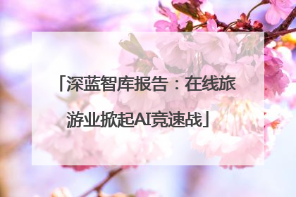 深蓝智库报告：在线旅游业掀起AI竞速战
