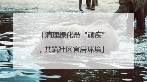 清理绿化带“顽疾”，共筑社区宜居环境