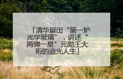 清华展出“第一炉光学玻璃”，讲述“两弹一星”元勋王大珩的追光人生