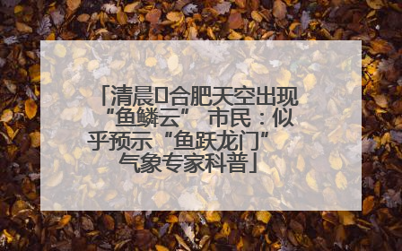 清晨﻿合肥天空出现“鱼鳞云” 市民：似乎预示“鱼跃龙门” 气象专家科普