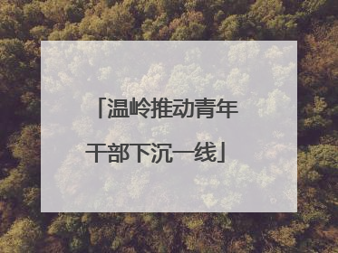 温岭推动青年干部下沉一线
