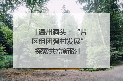 温州洞头：“片区组团强村发展”探索共富新路