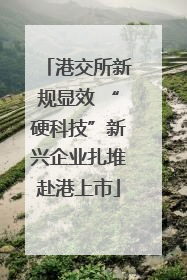 港交所新规显效 “硬科技”新兴企业扎堆赴港上市