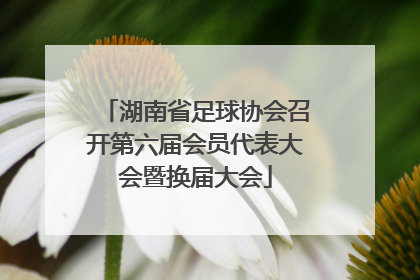 湖南省足球协会召开第六届会员代表大会暨换届大会