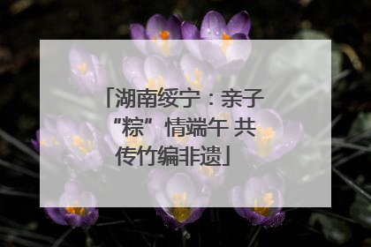 湖南绥宁：亲子“粽”情端午 共传竹编非遗