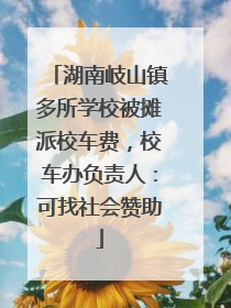 湖南岐山镇多所学校被摊派校车费，校车办负责人：可找社会赞助
