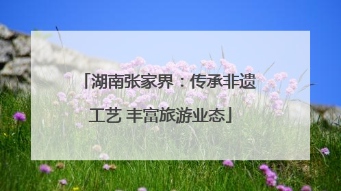湖南张家界：传承非遗工艺 丰富旅游业态