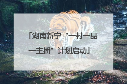 湖南新宁“一村一品一主播”计划启动