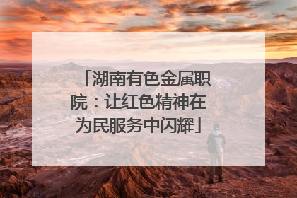 湖南有色金属职院：让红色精神在为民服务中闪耀