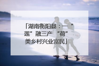 湖南衡阳县：一“莲”融三产 “荷”美乡村兴业富民