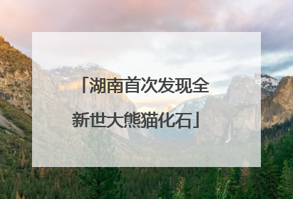 湖南首次发现全新世大熊猫化石