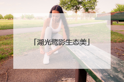 湖光鹭影生态美