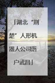 湖北“荆楚”人形机器人公司落户武昌