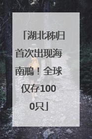 湖北秭归首次出现海南鳽！全球仅存1000只