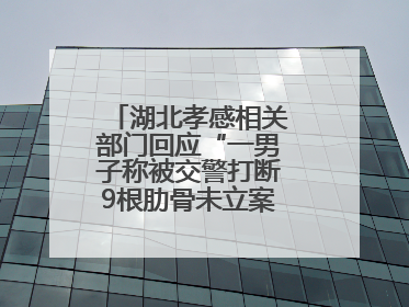 湖北孝感相关部门回应“一男子称被交警打断9根肋骨未立案”：已成立联合专班开展工作