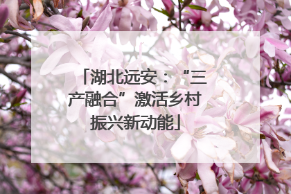 湖北远安：“三产融合”激活乡村振兴新动能