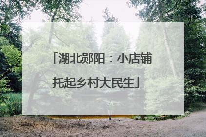 湖北郧阳：小店铺托起乡村大民生