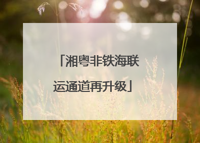 湘粤非铁海联运通道再升级