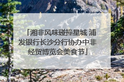 湘非风味碰撞星城 浦发银行长沙分行协办中非经贸博览会美食节