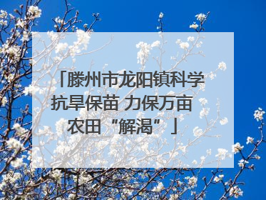 滕州市龙阳镇科学抗旱保苗 力保万亩农田“解渴”