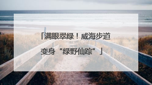 满眼翠绿！威海步道变身“绿野仙踪”