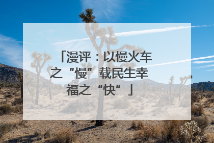 漫评：以慢火车之“慢”载民生幸福之“快”