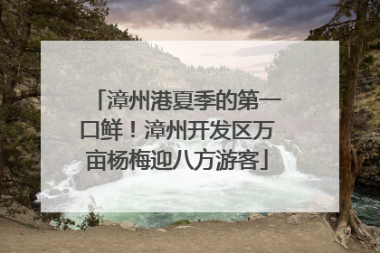 漳州港夏季的第一口鲜！漳州开发区万亩杨梅迎八方游客