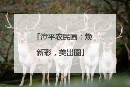 漳平农民画：焕新彩，美出圈