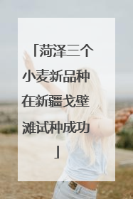 菏泽三个小麦新品种在新疆戈壁滩试种成功