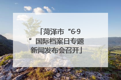 菏泽市“6·9”国际档案日专题新闻发布会召开