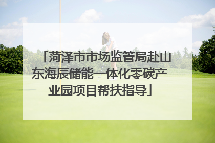 菏泽市市场监管局赴山东海辰储能一体化零碳产业园项目帮扶指导