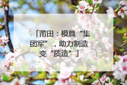 莆田：模具“集团军”，助力制造变“质造”