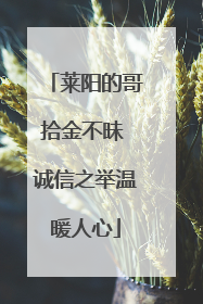 莱阳的哥拾金不昧 诚信之举温暖人心