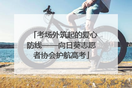 考场外筑起的爱心防线——向日葵志愿者协会护航高考