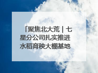 聚焦北大荒｜七星分公司扎实推进水稻育秧大棚基地清理整治工作