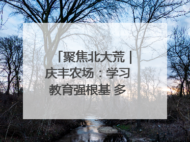聚焦北大荒｜庆丰农场：学习教育强根基 多管齐下助发展