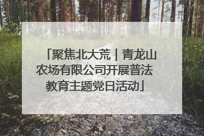 聚焦北大荒｜青龙山农场有限公司开展普法教育主题党日活动